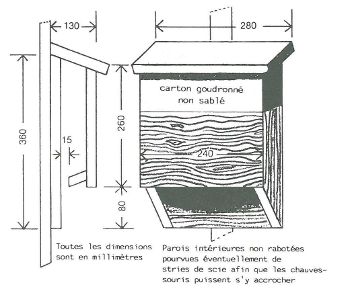 Image:Plan_gite_1_chauves-souris_BR.jpg