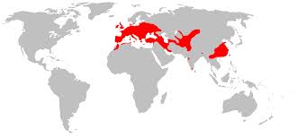 Image:Pipistrellus_pipistrellus_répartition.jpg