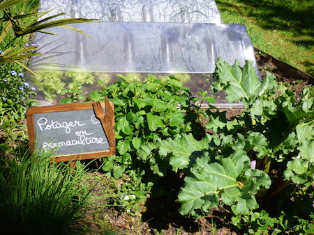 Potager-refuge-Evelyne.JPG