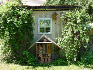 Hotel à insectes et nichoir.JPG