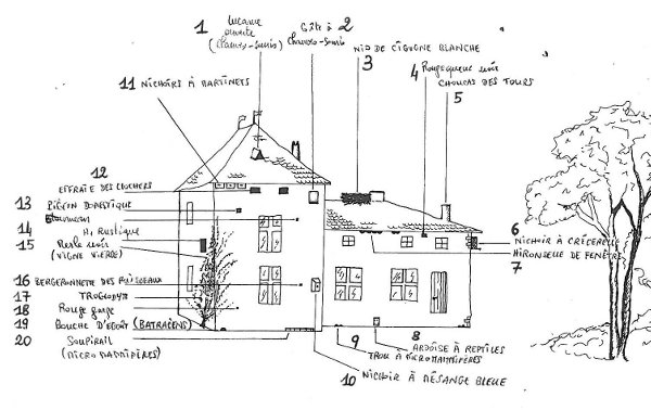 Maison nichoir Nicolas MacaireBR.jpg