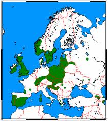 Image:Pipistrellus_pygmaeus_repartition.jpg