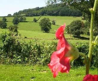 Ganapa Fleurs.jpg