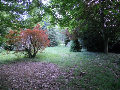 Vue générale jardin 2.jpg