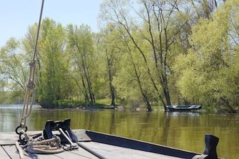 Image:Côté_sauvage_val_de_Loire.jpg