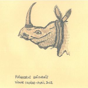 Image:Rhinoceros_unicornis_Nicolas_Macaire_300_pixels.jpg