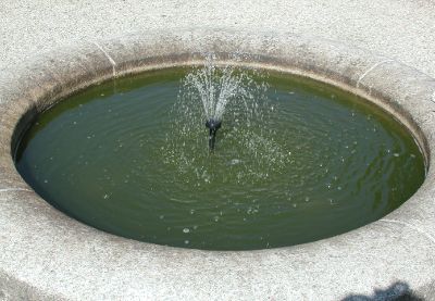 Fontaine Nicolas MacaireBR.JPG