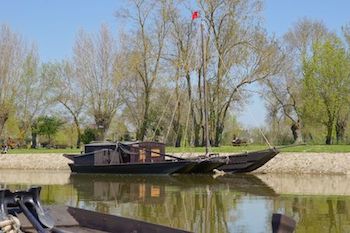 Image:Côté_endigué_val_de_Loire.jpg