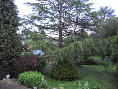 Vue générale jardin 1.jpg