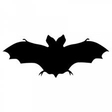 Chauve-souris négatif web.jpg