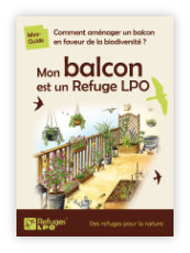 Livret refuge balcon min.jpg