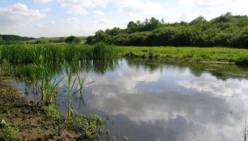 Etang à Valleroy Nicolas MacaireBR.JPG