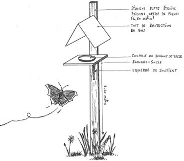 Mangeoire a papillons nmBR.jpg