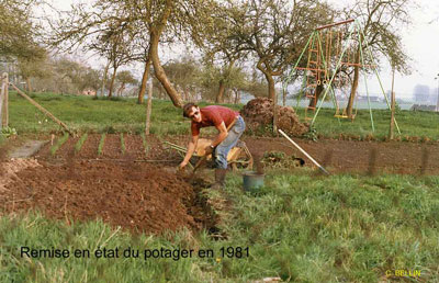 Image:Potager_1981.jpg