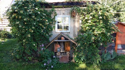 Hotel à insectes et nichoirs 2.jpg