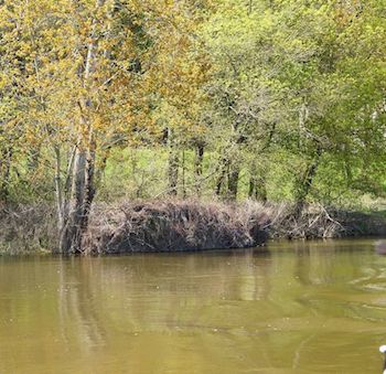 Image:Affût_chasse_val_de_Loire.jpg