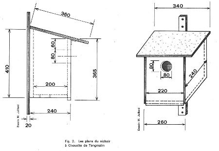 Plan nichoir Chouette tengmalmBR.jpg