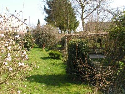 Image:Jardin_20090322_025.jpg