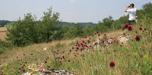 RNR Bois des Roches Nicolas Macaire BR.JPG