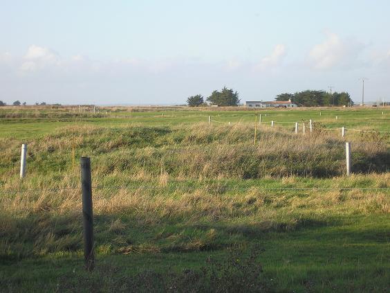 Marais derrière maison mini.JPG